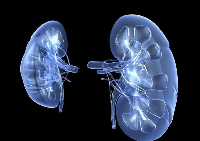 道歉的话给女朋友挽回 64句最诚恳道歉的句子推荐