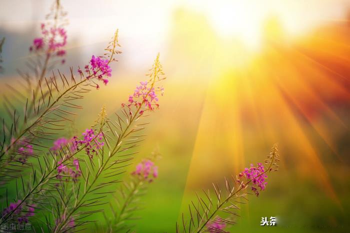 Ů������΢�Ż�Ҫ׷�� Ů�˲�����Ϣ����������δ���