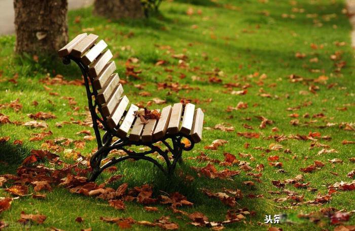 Ů������΢�Ż�Ҫ׷�� Ů�˲�����Ϣ����������δ���