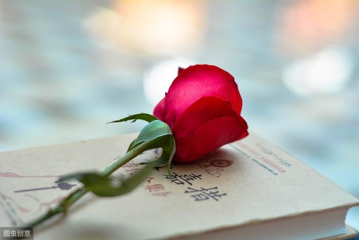 女人婚内出轨自述 最后还是老公最好