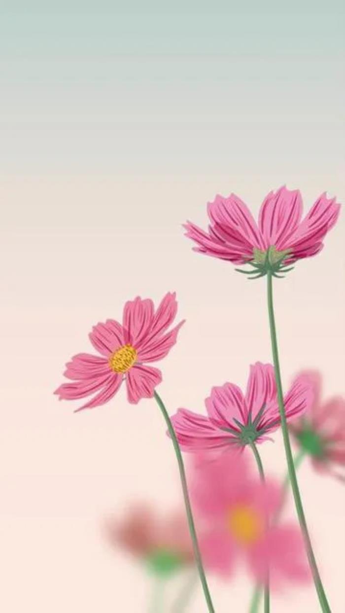 �ѻ�������మ����ô�� �м�ͥ��ôά��