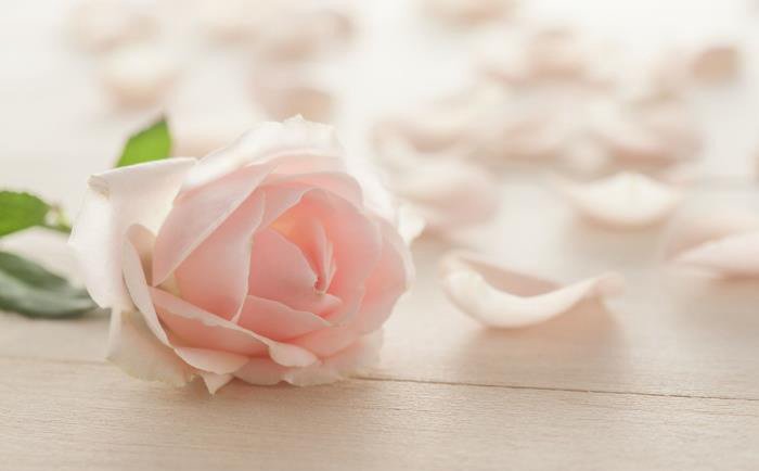 �����Ů����ô��� һ������Ů�˵��������¼
