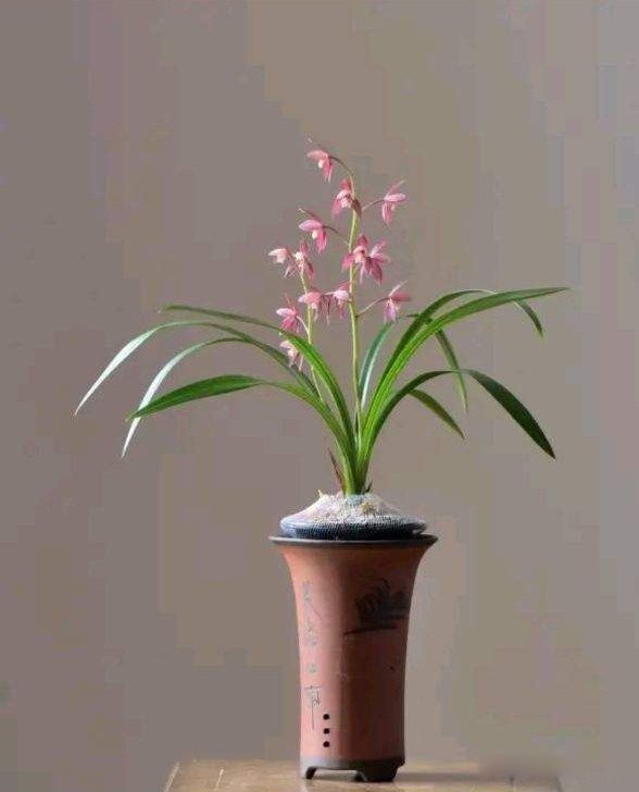 ϲ���Ķ���Ů���Ը� ϲ�������Ů���в�ͬ������