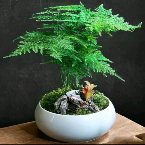 ϲ���Ķ���Ů���Ը� ϲ�������Ů���в�ͬ������