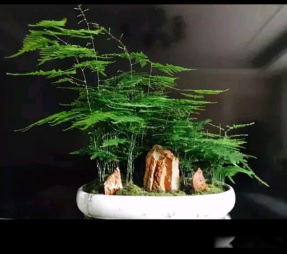 ϲ���Ķ���Ů���Ը� ϲ�������Ů���в�ͬ������