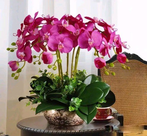 ϲ���Ķ���Ů���Ը� ϲ�������Ů���в�ͬ������