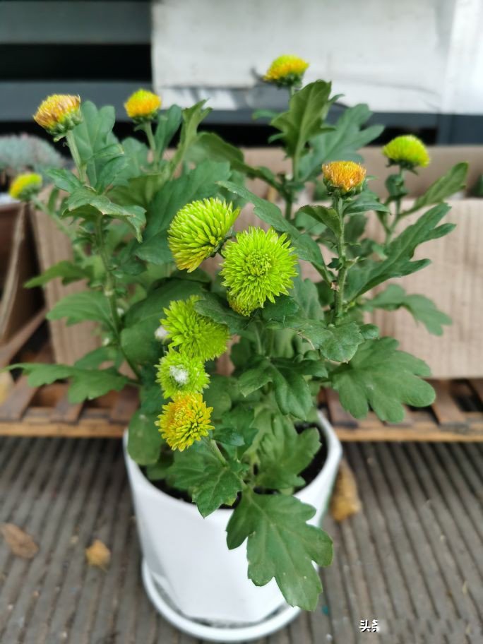 ϲ���Ķ���Ů���Ը� ϲ�������Ů���в�ͬ������