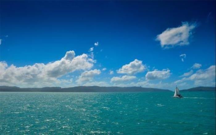 ����Ե���Ƿ��Ѿ��� ��Ѳ�������Ե���Ƿ��Ѿ�