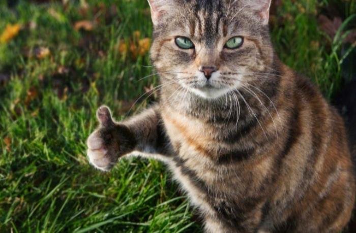 ����޵���Ĭ���� ���æ������ô������Ȧ