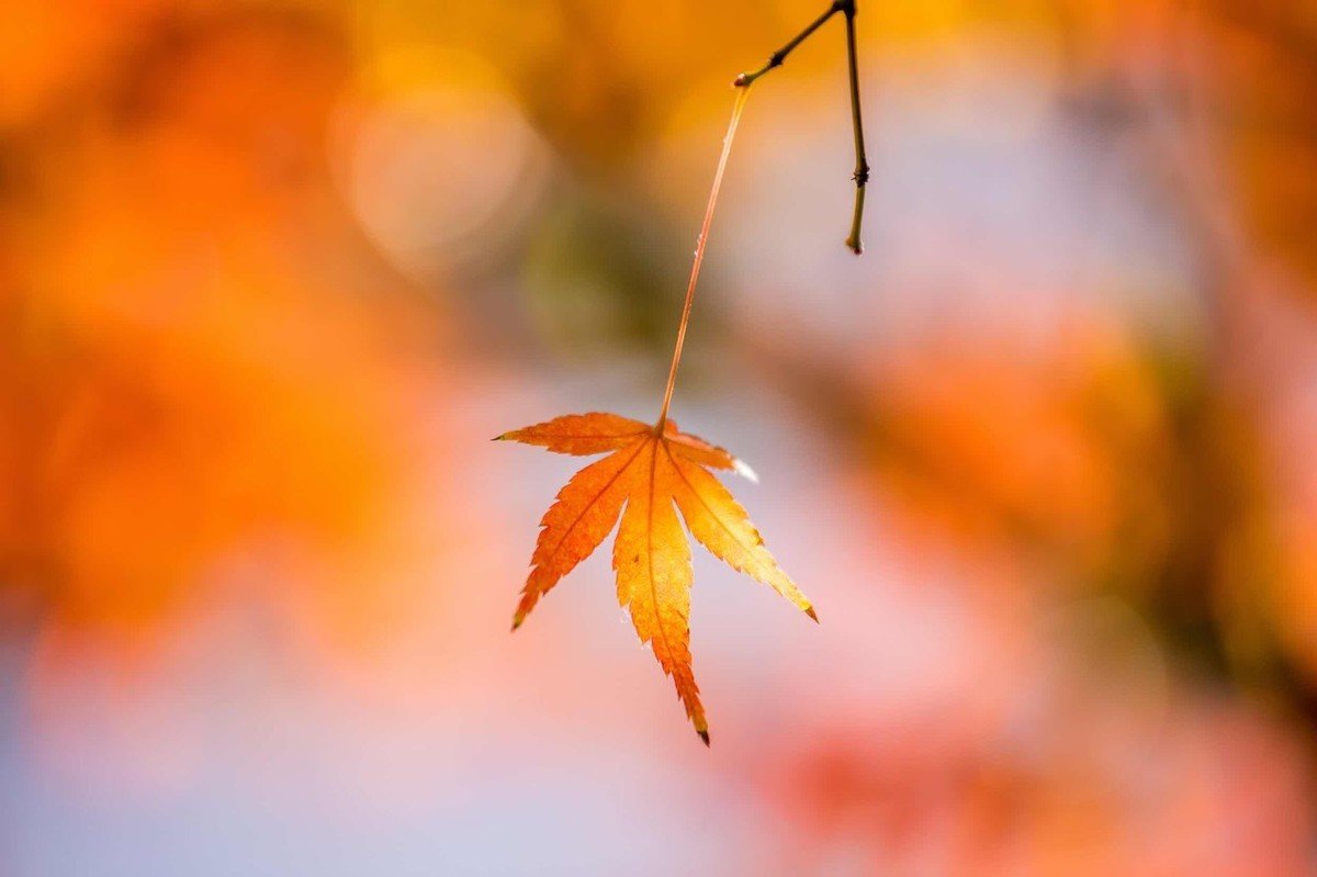 �����������Դ������� �����ò���������ʲô����