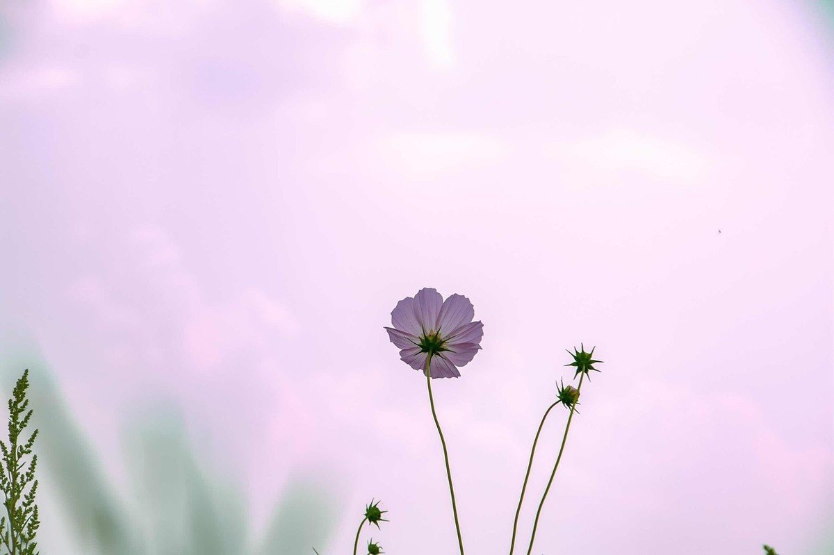 �����������Դ������� �����ò���������ʲô����