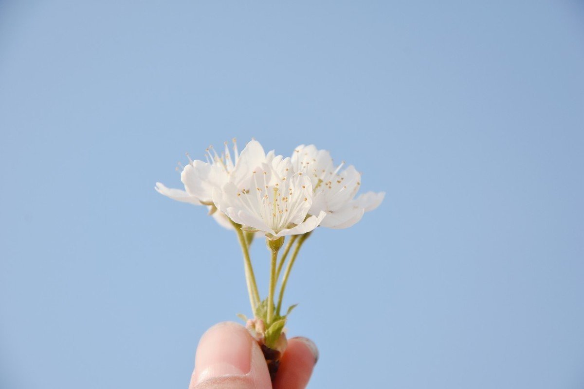 �����������Դ������� �����ò���������ʲô����