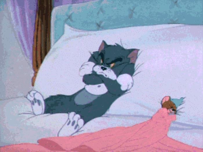 �����������Ҫ������Ϊʲô Ϊʲô���ܺ�����������