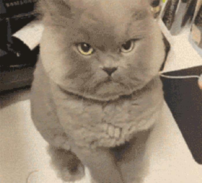 �����������Ҫ������Ϊʲô Ϊʲô���ܺ�����������