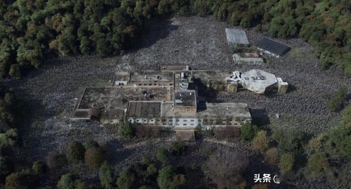 ��ʬ�����ֵ����������� ������Ա����