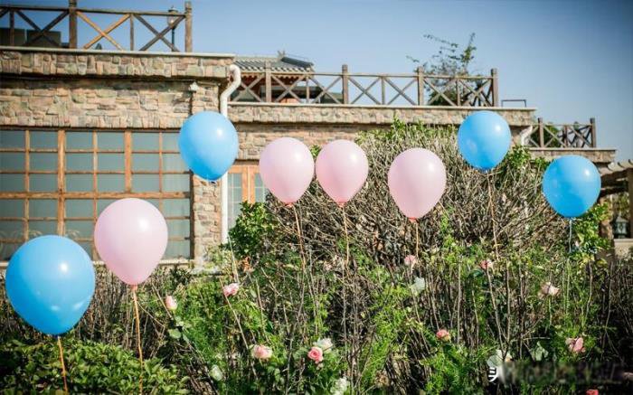 ˮƿ�н�ţŮ���ָ�� Ϊʲô�ụ������