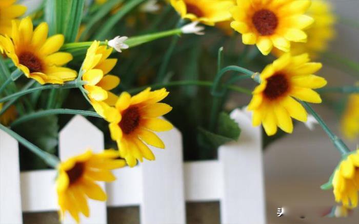 ˮƿ�н�ţŮ���ָ�� Ϊʲô�ụ������