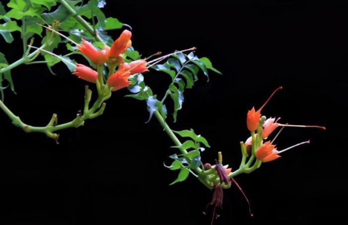 ����������Ů�˶��͵� ��ز�¶��Ů����ʲô����