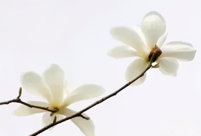 ����������Ů�˶��͵� ��ز�¶��Ů����ʲô����