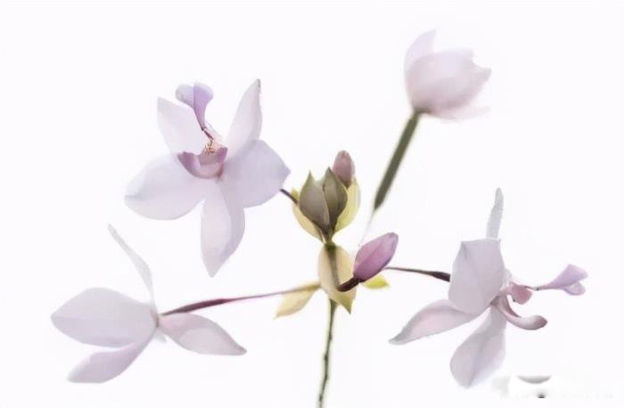 ����������Ů�˶��͵� ��ز�¶��Ů����ʲô����