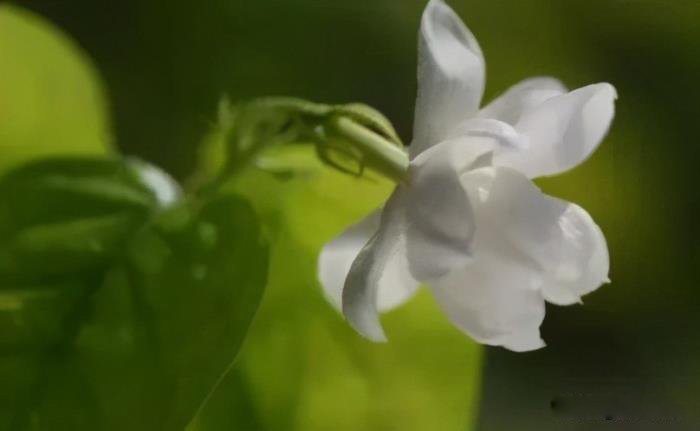 ����������Ů�˶��͵� ��ز�¶��Ů����ʲô����