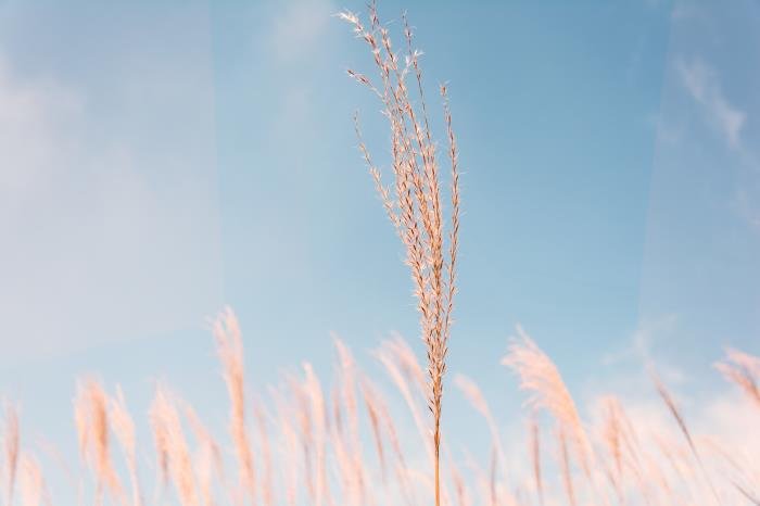 һ�����˰�������巴Ӧ ����ϲ���������巴Ӧ���