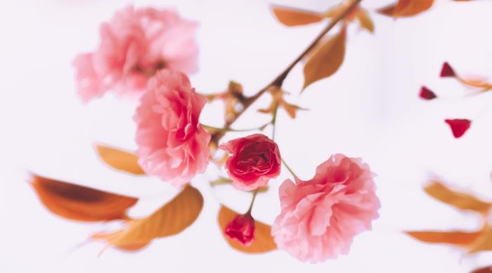 һ�����˰�������巴Ӧ ����ϲ���������巴Ӧ���