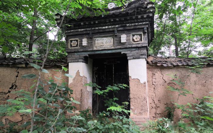 ������Ŀֲ��ж����� ��ɽ������˼�