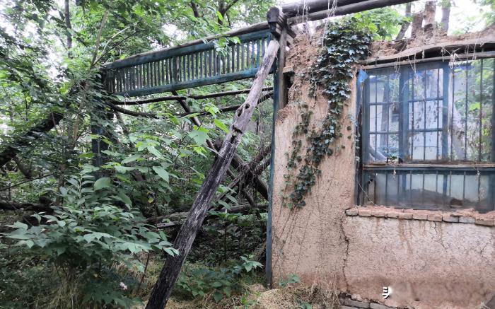 ������Ŀֲ��ж����� ��ɽ������˼�