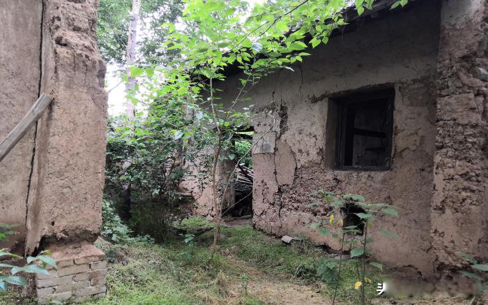 ������Ŀֲ��ж����� ��ɽ������˼�