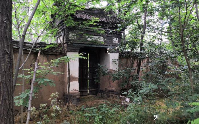 ������Ŀֲ��ж����� ��ɽ������˼�