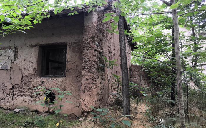 ������Ŀֲ��ж����� ��ɽ������˼�