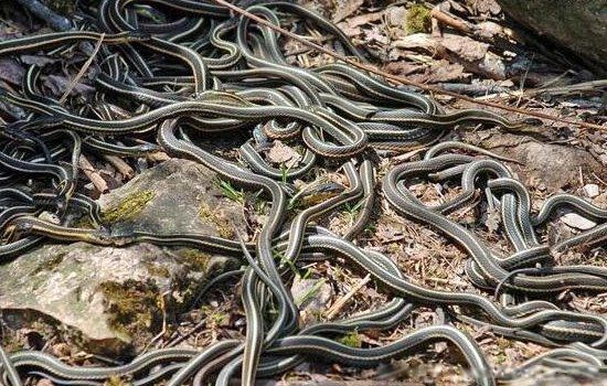 83����������ô���� �й�1983�����¼�����֮��