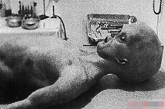 七大外星人图片真实照片 神秘尸体是什么样子的