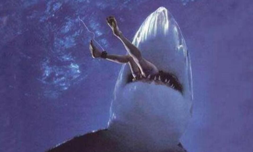 被鲨鱼咬人的恐怖照片图片