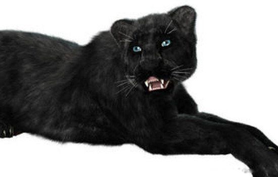 霸王猇真的存在吗灭绝了吗霸王猇为什么灭绝