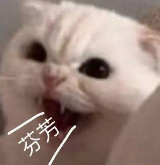 骂人不带脏字的话越毒越好 高级的含蓄的骂人的短语