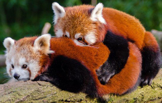 ��üɽ���Ĵ��ĸ����� ��üɽ�ľ���λ�����ĸ�����