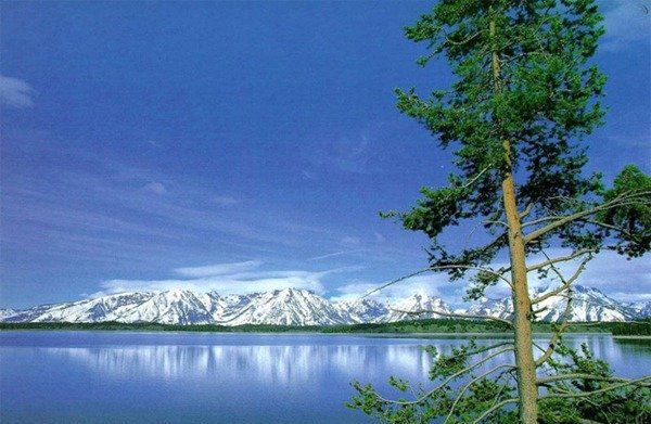 中国五大咸水湖排名 青海湖面积最大排第一