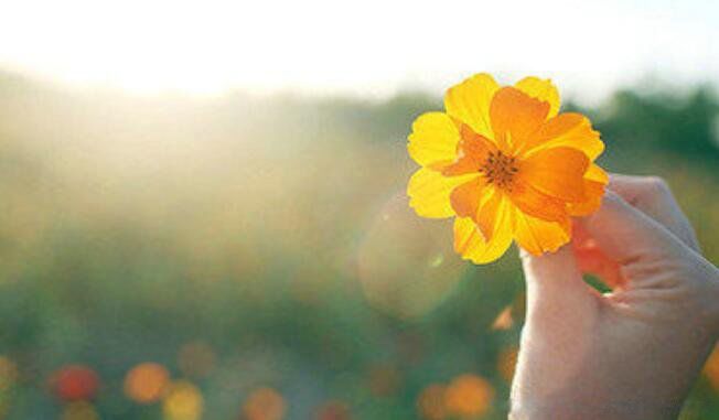 ���������Ѱ������ӷ�����Ȧ �����������ӵľ����̾�