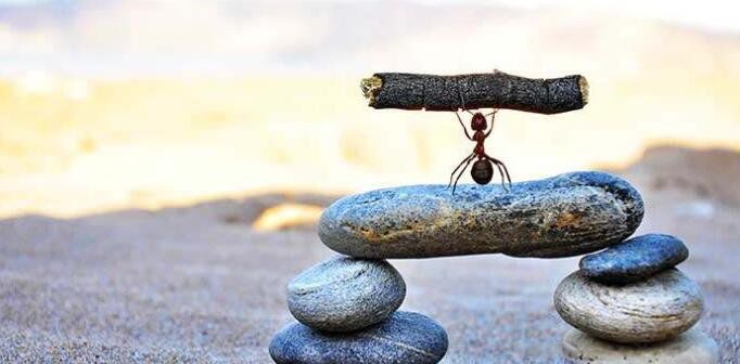 ���������Ѱ������ӷ�����Ȧ �����������ӵľ����̾�