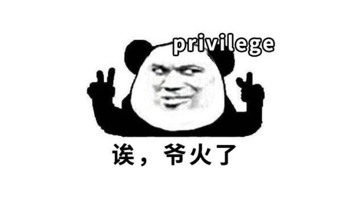 privilege是什么意思 既然提到privilege是什么梗怎么用