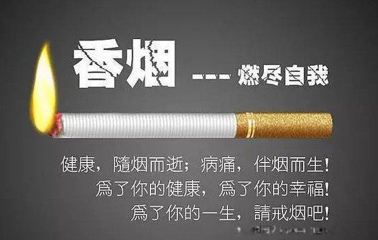 С��è��԰ϸ֧���̺ó��� ֻ��16������Ǯһ��