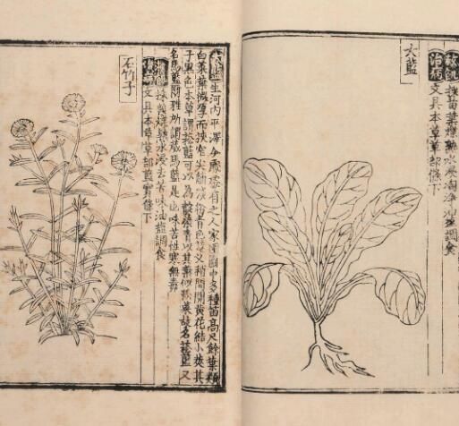 �Ȼı������ĸ�ʱ�ڵ�˭��׫�� ��ʲô��������Ʒ