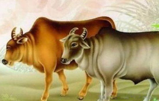 2022����˳������Ф����Щ 4���󼪴�����ѵ���Ф