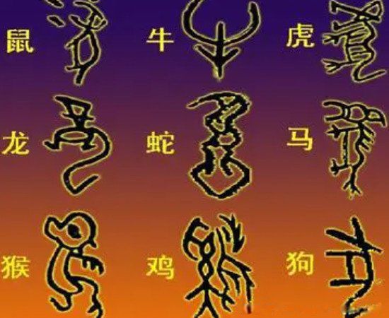 �Q���Q���������������~̊ƴ����ô�� ÿ���ֵ���˼��ʲô