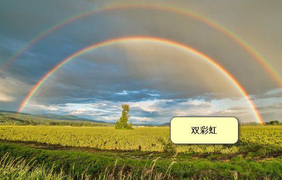 彩虹的七种正确颜色按顺序排列是什么样的