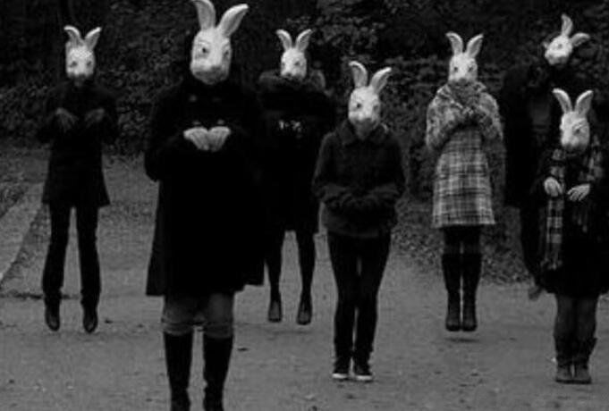 十只兔子的恐怖照片图片