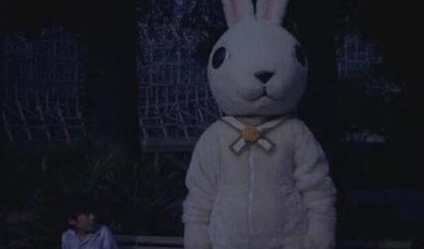 十只兔子原版吓死了多少人 情杀案背后故事太恐怖