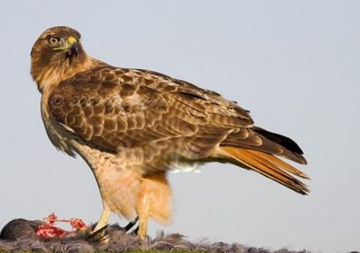 ����ʮ����Σ�յ��������� �Ϸ���������������